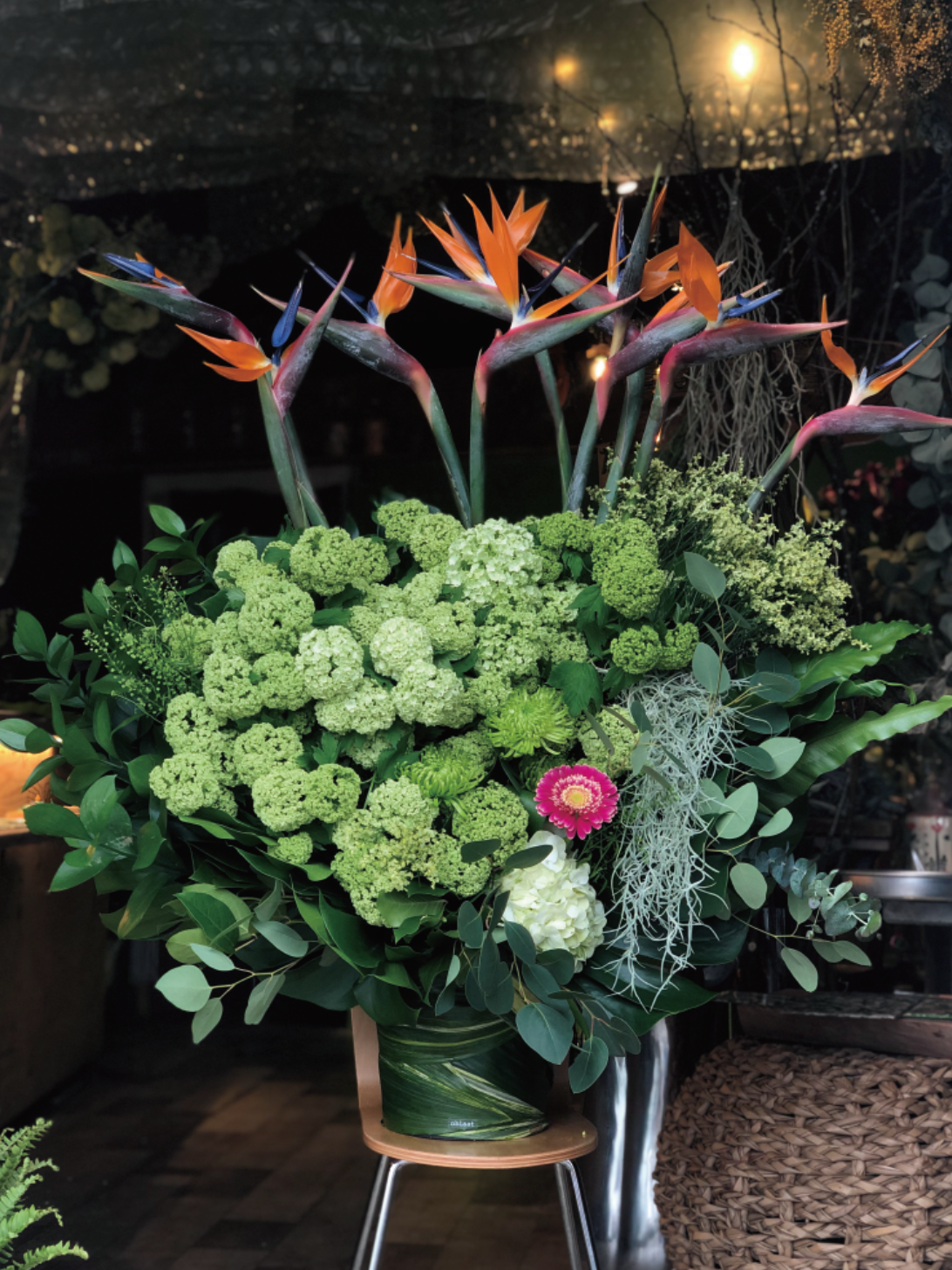 どんな花 函館市にある花屋 Flower Oblaat どんな花 函館市にある花屋 Flower Oblaat